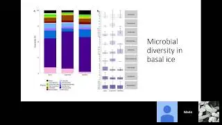 Mario Toubes-Rodrigo: Rolling in the deep: microbial life at the bottom of glaciers