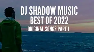 BEST OF 2022 • DJ Shadow Music (Original songs - Part 1)