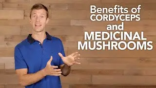 Benefits of Cordyceps and Medicinal Mushrooms