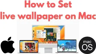 How To Set Live Wallpapers on Mac