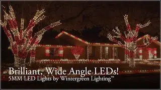 Wide Angle 5MM LED Lights