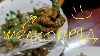 Ем личинки тутового шелкопряда! Китайская кухня (жареные насекомые)