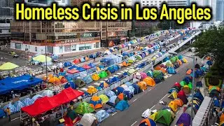 Homeless Population Growth in California's Most Populous City