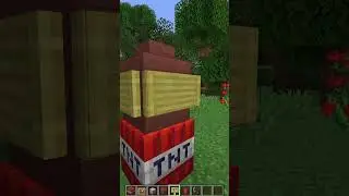 Minecraft TNT Bomb #minecraft