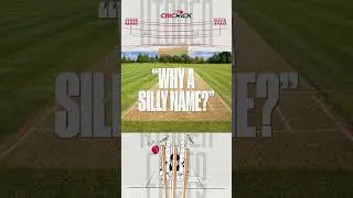 Why silly point is called silly point❓ #testcricket #DidYouKnow