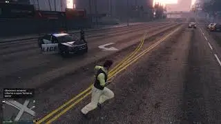 Grand Theft Auto V - Police job