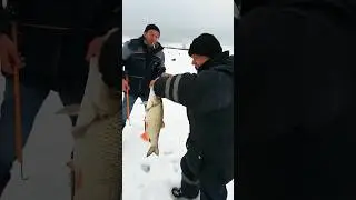 Трофейный язь клюнул на удочку🎣  #зимняярыбалка