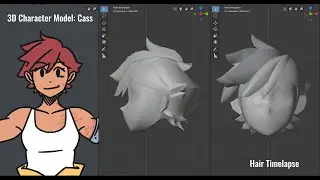 3D Cass hair timelapse