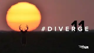 DIVERGE 11 Photo Contest