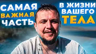 Самая важная часть в жизни вашего тела! Мотивирующее видео о здоровье и профилактике болезней тела