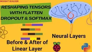 Reshaping Tensors With Flatten Dropout & SoftMax: Before & After Linear Layers