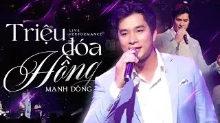 Triệu Đóa Hồng - Mạnh Đồng | Official Music Video | Mây Sài Gòn