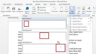 Put page number in MS word || Community Solution-IT