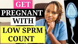 How to Get Pregnant with Low Sprm Count // How to Optimize Male Fertility