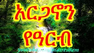 አርጋኖን የዓርብ - Arganon