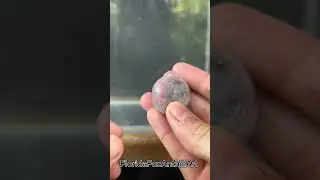 CCB vs Water 💧 #Satisfying #Experiment #ASMR #Water #CCB