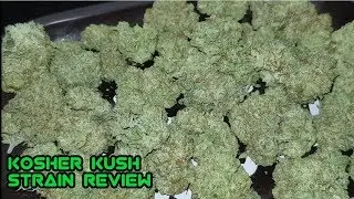 Kosher Kush Strain Review