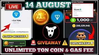 DOG AIRDROP | DOG LISTING |TON COIN GIVEAWAY | FREE TON COIN | HAMSTER KOMBAT DAILY COMBO 14 AUGUST