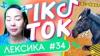 ЛЕКСИКА TIK-TOK #34 🐴 Как спят лошади ✌ Школа Динары Мин ✌