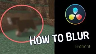 How To Blur Objects in DaVinci Resolve 17 | DaVinci Resolve Tutorial