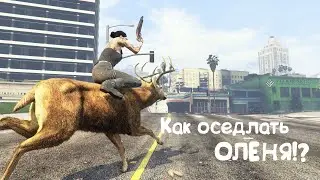 В поисках наездника - Gta Online