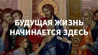 Будущая жизнь начинается здесь — проповедь и. Александра Волкова в неделю 2-ю по Пасхе