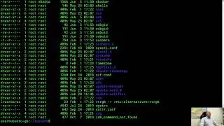 Linux. Введение в скрипты bash. AWK (3)