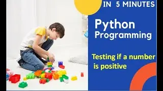 Python program to test if a number is Positive | Ashraf Jamal