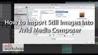 How to Import Still Images into Avid Media Composer