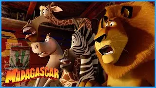 Scared of the Circus | DreamWorks Madagascar