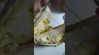 Belah duren full daging 