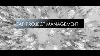 SAP Project Management and Methodologies