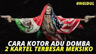 DARI MEMB*NUH PENGACARA KARTEL SAMPAI MENCULIK ANAK BOS KARTEL