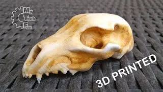 3D printed fox skull - from designing (Sculptris) to painting