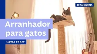 Como fazer um arranhador para gatos? | Tramontina