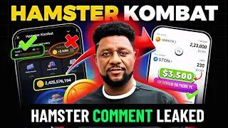 Hamster Combat Questions - Hamster Kombat Update - Hamster Kombat News - Airdrop, wallet, Keys