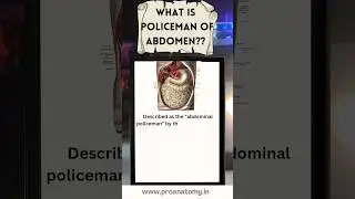 Policeman of abdomen #medicalstudent #anatomy #humananatomy #education #medical #humanbodyfacts