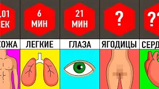 10 Органов, Без Которых Вы Сможете Выжить