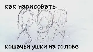 как нарисовать кошачьи уши