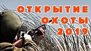 Открытие охоты на утку 2019 | Особенности национальной охоты в Украине