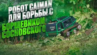 Техника Caiman для борьбы с борщевиком Сосновского