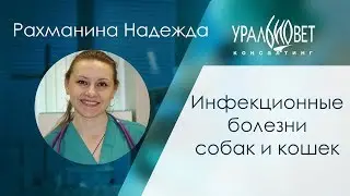 Инфекционные болезни собак и кошек. Микоплазмоз. Хламидиоз. Рахманина Надежда 