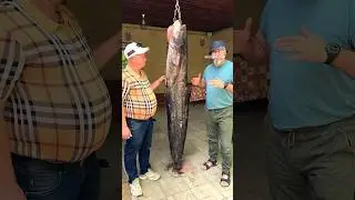 БОШЬШОЙ ЗАМЕС #рыбец64 #рыба #сом