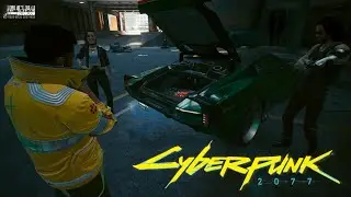 Cyberpunk 2077 - Netrunner Ninja Build