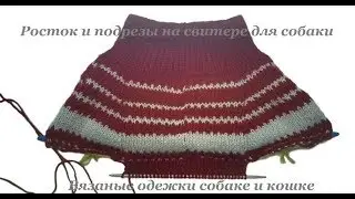 16. Росток и подрезы на свитере для собаки