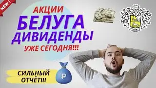 Дивиденды Белуга групп 400 руб. Акции Белуга. Сильный отчёт beluga group за 2022. Покупать ли акции?