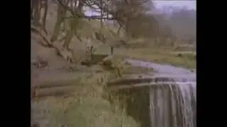 Ричард Фейнман - о сути вещей, а не о их названии