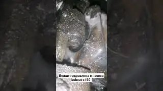 Выснил откуда течет, bobcat s150