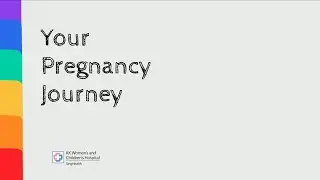 Pregnancy Journey (Antenatal)