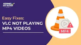 Easy Fixes: VLC Not Playing MP4 Videos